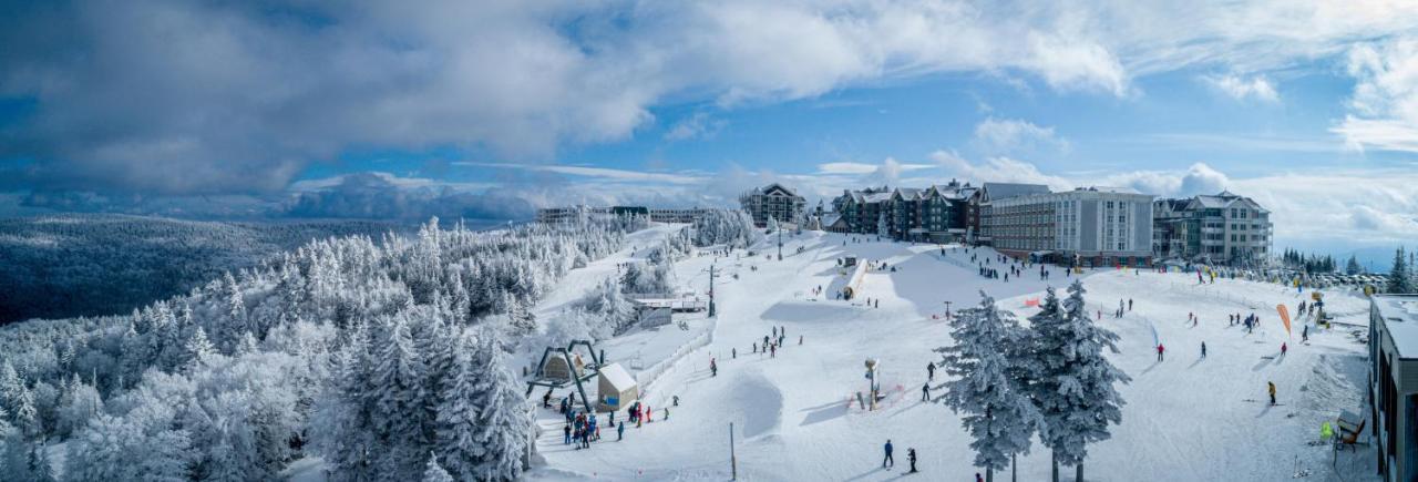 Stroll To Slopes, Village Area, Ski In-Out Mtlodge 304 Snowshoe Eksteriør billede